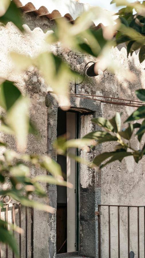 Puleera Boutique Hotel ジャッレ エクステリア 写真