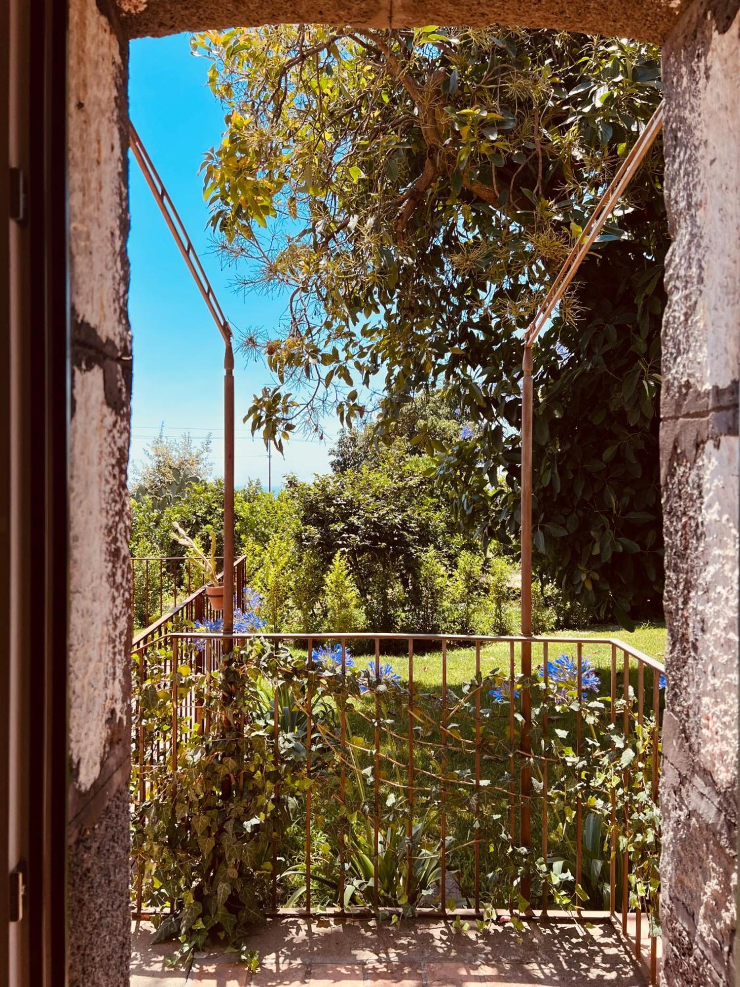 Puleera Boutique Hotel ジャッレ エクステリア 写真