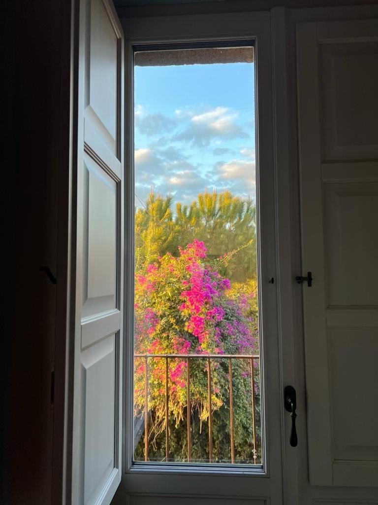 Puleera Boutique Hotel ジャッレ エクステリア 写真